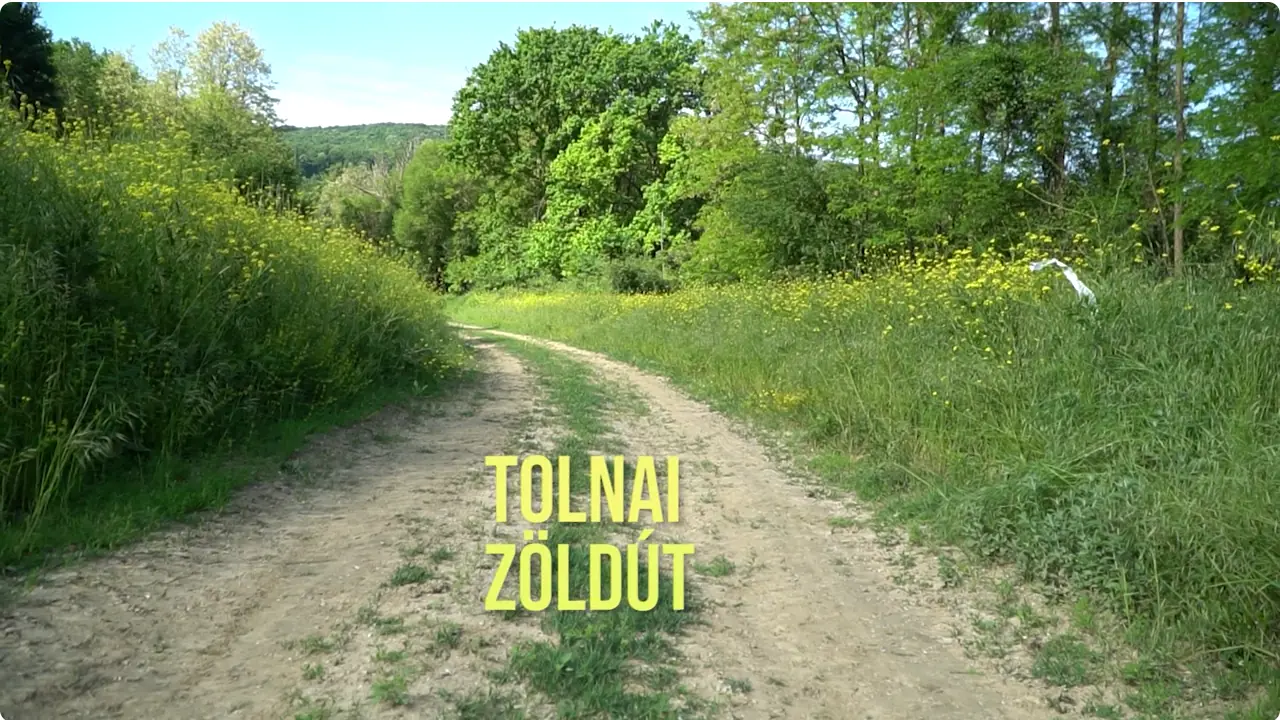 Tolnai Zöldút kisfilm