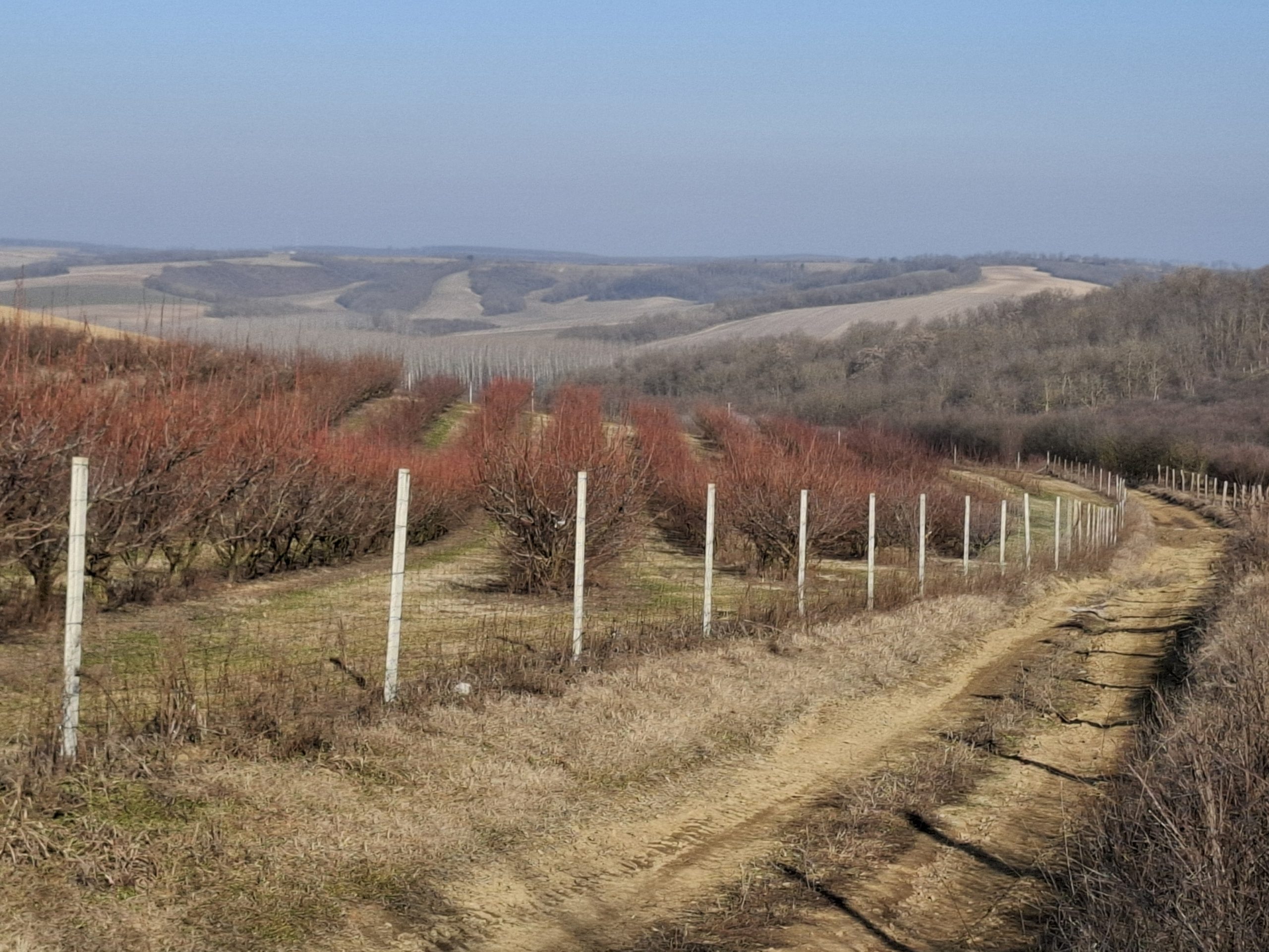 IV. Tolnai Zöldút Teljesítménytúra – 30 km útvonal